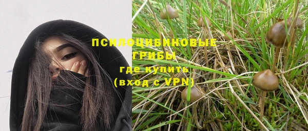 ПСИЛОЦИБИНОВЫЕ ГРИБЫ Михайловка