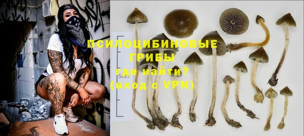 ПСИЛОЦИБИНОВЫЕ ГРИБЫ Михайловка