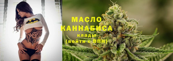 тгк Михайлов