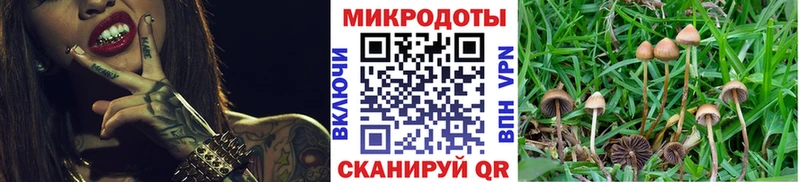 Псилоцибиновые грибы GOLDEN TEACHER  купить  сайты  Тбилисская 